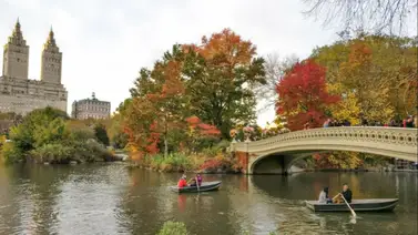 Así estarán las temperaturas otoñales en Nueva York este fin de semana Así estarán las temperaturas otoñales en Nueva York este fin de semana