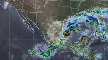 Huracan Milton estado de emergencia Florida