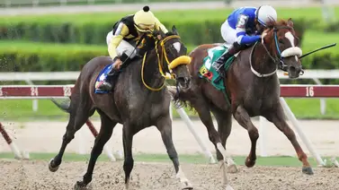 Suplemento Meridiano Hípico pega los 10 ganadores de La Rinconada Suplemento Meridiano Hípico pega los 10 ganadores de La Rinconada