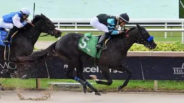 Jockey venezolano consigue su primera victoria del año en Gulfstream Park Jockey venezolano consigue su primera victoria del año en Gulfstream Park