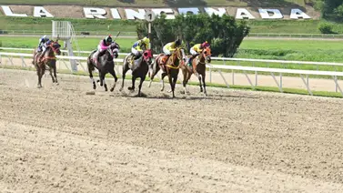 Tres jinetes son multados por esta razón luego de celebrada la reunión 38 Tres jinetes son multados por esta razón luego de celebrada la reunión 38