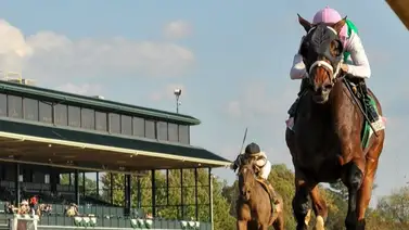 Esta será la rival de Thorpedo Anna en la Breeders’ Cup Distaff Esta será la rival de Thorpedo Anna en la Breeders’ Cup Distaff