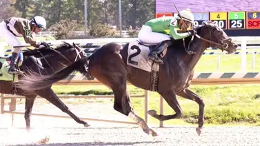 Mychel Sánchez gana cuatro durante el fin de semana y se acerca a cifra grande Mychel Sánchez gana cuatro durante el fin de semana y se acerca a cifra grande