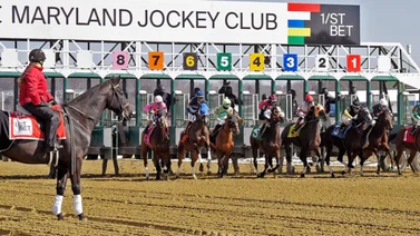 Laurel Park tendrá este sábado el Maryland Million Classic con ocho Stakes