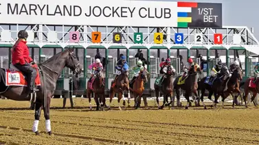 Laurel Park tendrá este sábado el Maryland Million Classic con ocho Stakes Laurel Park tendrá este sábado el Maryland Million Classic con ocho Stakes