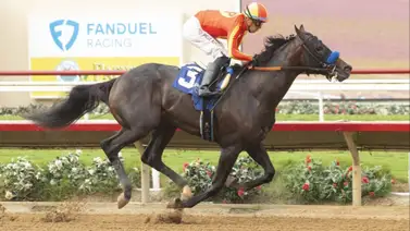 Irad Ortiz Jr. montará potro invicto de Bob Baffert en la Breeders´Cup Juvenile Irad Ortiz Jr. montará potro invicto de Bob Baffert en la Breeders´Cup Juvenile