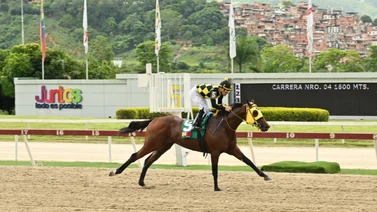 Ping Pong buscará unir partida con llegada en el Clásico Virgilio Decán (GI) en La Rinconada
