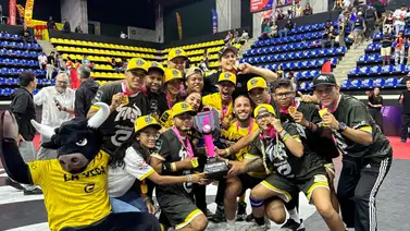 Toros de La Vega son los nuevos campeones del Torneo Pelotíca de Goma Toros de La Vega son los nuevos campeones del Torneo Pelotíca de Goma