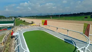 Reunión 20 de HINAVA tiene ocho carreras con una copa Reunión 20 de HINAVA tiene ocho carreras con una copa