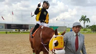 Strength Monster por un nueva selectiva en el hipódromo de Valencia