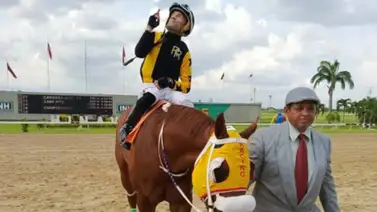 Strength Monster por un nueva selectiva en el hipódromo de Valencia Strength Monster por un nueva selectiva en el hipódromo de Valencia