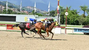 Bella Catira a seguir con la racha ganadora en el hipódromo La Rinconada Bella Catira a seguir con la racha ganadora en el hipódromo La Rinconada