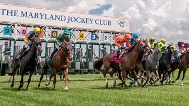 Cuatro Handicaps dentro del Maryland Million del sábado en Laurel Park 