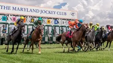 Cuatro Handicaps dentro del Maryland Million del sábado en Laurel Park Cuatro Handicaps dentro del Maryland Million del sábado en Laurel Park