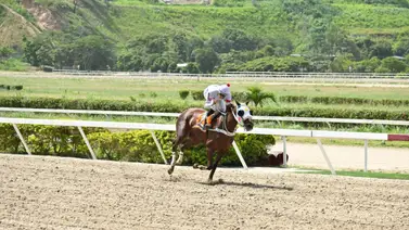 Fidanzata reta a seis rivales en la Condicional Especial para yeguas en La Rinconada Fidanzata reta a seis rivales en la Condicional Especial para yeguas en La Rinconada