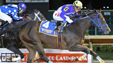 Este sábado es el gran festival de criadores de West Virginia con 9 stakes Este sábado es el gran festival de criadores de West Virginia con 9 stakes