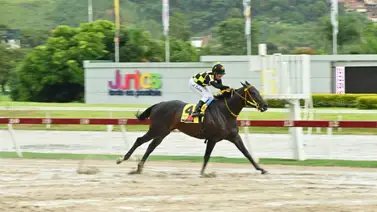 Niño Lorenzo demostrará su velocidad en preparatoria para la Serie Hípica del Caribe Niño Lorenzo demostrará su velocidad en preparatoria para la Serie Hípica del Caribe