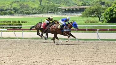 Yegua que para muchos es una fija en el 5y6 reaparece después de 56 días sin correr Yegua que para muchos es una fija en el 5y6 reaparece después de 56 días sin correr