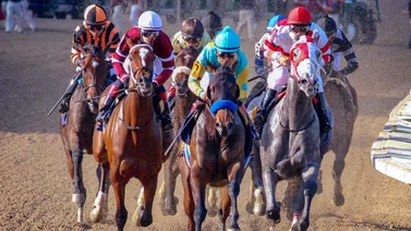 Trifecta venezolana en este hipódromo de Estados Unidos