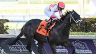 Tresañero de José Francisco D’Angelo correrá la Breeders’ Cup Sprint Tresañero de José Francisco D’Angelo correrá la Breeders’ Cup Sprint