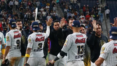 LVBP: Este será el uniforme de visitante Leones del Caracas para la temporada 2024-25 (+Video)