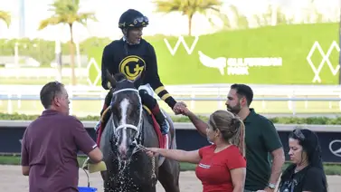 José Francisco D’Angelo alcanza cifra redonda en su carrera en Estados Unidos José Francisco D’Angelo alcanza cifra redonda en su carrera en Estados Unidos