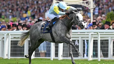 Mira cuánto pagó Godolphin por una hermana completa de ganadora de Stakes en Europa