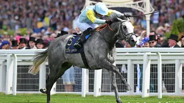 Mira cuánto pagó Godolphin por una hermana completa de ganadora de Stakes en Europa Mira cuánto pagó Godolphin por una hermana completa de ganadora de Stakes en Europa