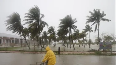 Huracán ‘Milton’ en Florida: categoría, trayectoria y devastación esperada