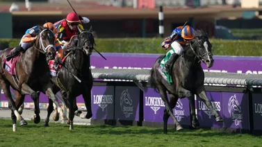 Este es el jockey con más montas realizadas en la historia de la Breeders’ Cup