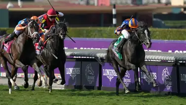 Este es el jockey con más montas realizadas en la historia de la Breeders’ Cup Este es el jockey con más montas realizadas en la historia de la Breeders’ Cup