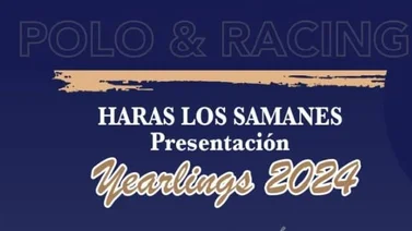 Haras Los Samanes Polo & Racing hizo la presentación de sus yearlings 2024