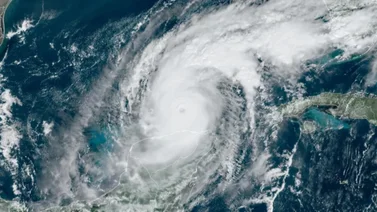Huracán Milton deja imágenes impactantes de caos y destrucción en St. Petersburg y Port St. Lucie (+Video)