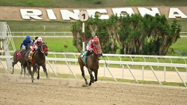 Con este ajuste de este caballo puede sorprender a una de las líneas del ciclo de las no válidas