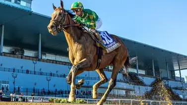 Conoce la nueva marca que alcanzó Flavien Prat en el hipismo norteamericano Conoce la nueva marca que alcanzó Flavien Prat en el hipismo norteamericano