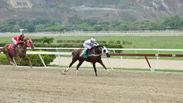 Esta potra reaparece con un cómodo ajuste para buscar una nueva victoria en la R39 Esta potra reaparece con un cómodo ajuste para buscar una nueva victoria en la R39