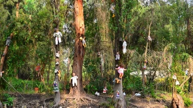 Celebra Halloween y el Día de los Muertos en los lugares más misteriosos de México
