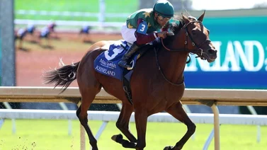 Luis Sáez se luce con par de sorpresas abriendo y empata la estadística de Keeneland