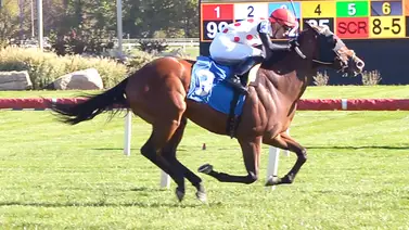 Dos jockeys venezolanos duplican victorias al iniciar la semana en Laurel Park Dos jockeys venezolanos duplican victorias al iniciar la semana en Laurel Park