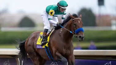 Venderán participación del campeón Flightline como semental en esta gran subasta Venderán participación del campeón Flightline como semental en esta gran subasta