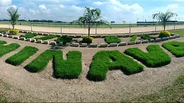 Datos de última hora para el Hipódromo Nacional de Valencia 12-10-2024 Datos de última hora para el Hipódromo Nacional de Valencia 12-10-2024