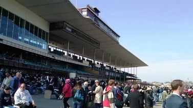 Suspendido el programa de carreras en Aqueduct Belmont At The Big A
