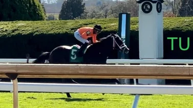 Irad Ortiz Jr gana con potro de $1.300.000 que entrena José Francisco D´Angelo