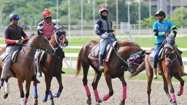 Estos son los retirados de la Reunión N°39 en La Rinconada 13-10-2024 Estos son los retirados de la Reunión N°39 en La Rinconada 13-10-2024