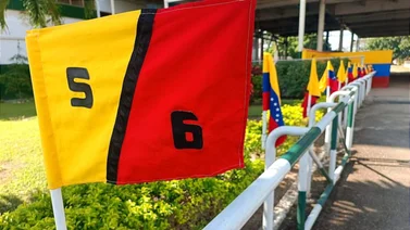 Estos son los retirados del Hipódromo Nacional de Valencia 12-10-2024