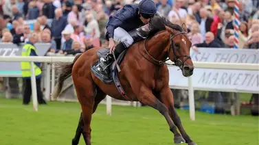 Se retira de las pistas el mejor caballo del mundo Se retira de las pistas el mejor caballo del mundo