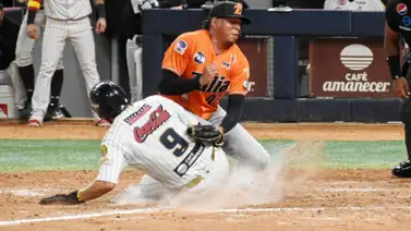 LVBP: Así quedó la serie particular entre Leones del Caracas y Águilas del Zulia en la 2023/24 LVBP: Así quedó la serie particular entre Leones del Caracas y Águilas del Zulia en la 2023/24
