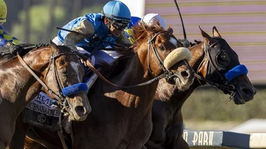Subsanador no correrá en la Breeders' Cup Classic por esta razón 