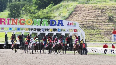 Favoritos de la cátedra para el 5y6 Nacional de la reunión N°39 en el hipódromo La Rinconada