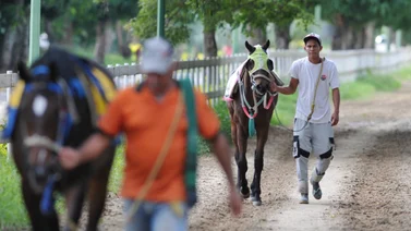 Datos de Última Hora para el Hipódromo Internacional La Rinconada 13-10-2024